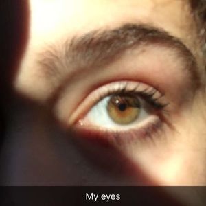 Meet your Posher, Lula